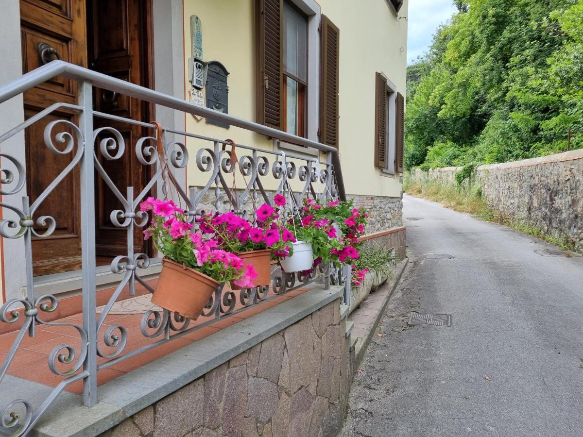 Bed and breakfast A Collodi Io & Mamma Extérieur photo